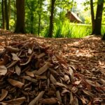 Czy kora z lasu nadaje się do ogrodu
